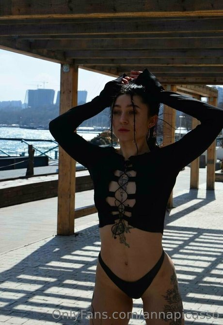 Annapicasso