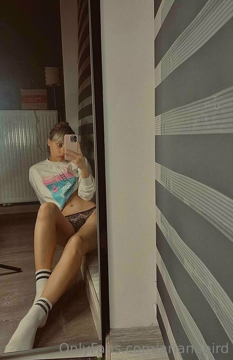 Arianabird