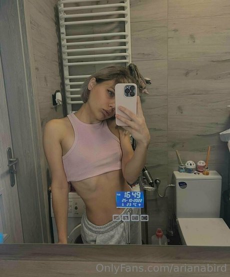 Arianabird