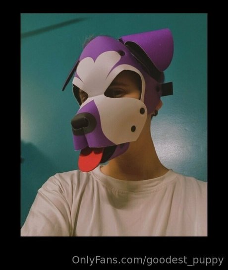 Goodestpuppy