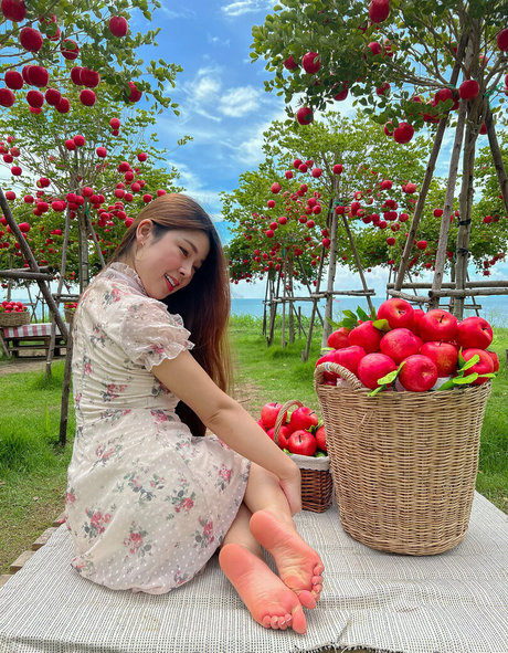 Alicefeetze