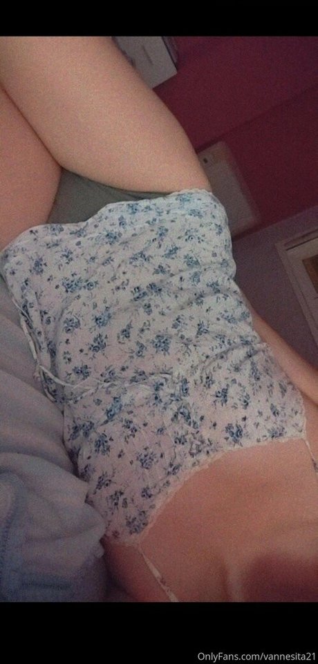 Vannesita21