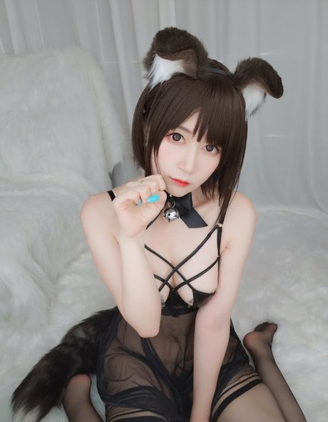 Baiyin811