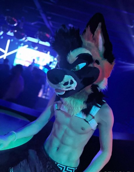 Palacewolf