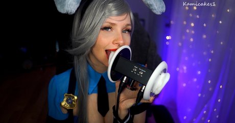 Kamicakes1