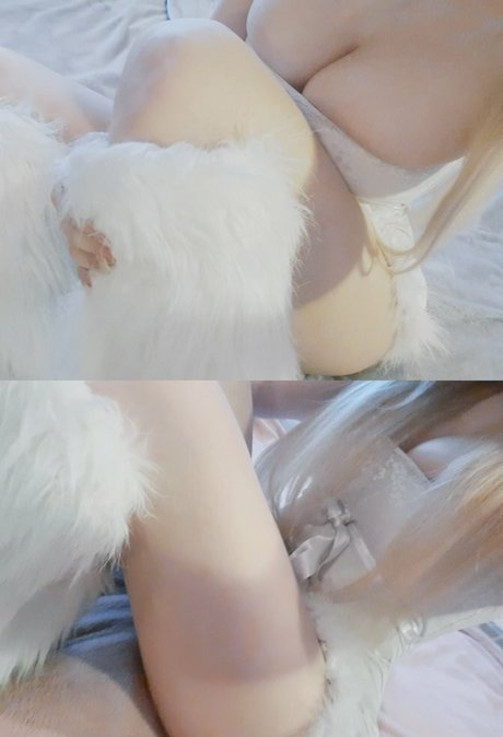 Dasxadoll