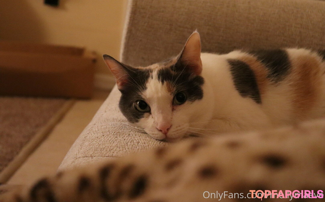 Foto desnuda filtrada de OnlyFans de Mollymaeve #21 Foto desnuda filtrada de OnlyFans de Mollymaeve #21