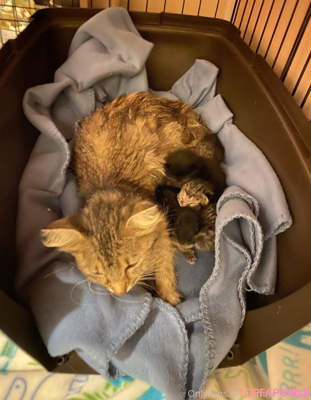 Foto desnuda filtrada de OnlyFans de Mollymaeve #235 Foto desnuda filtrada de OnlyFans de Mollymaeve #235