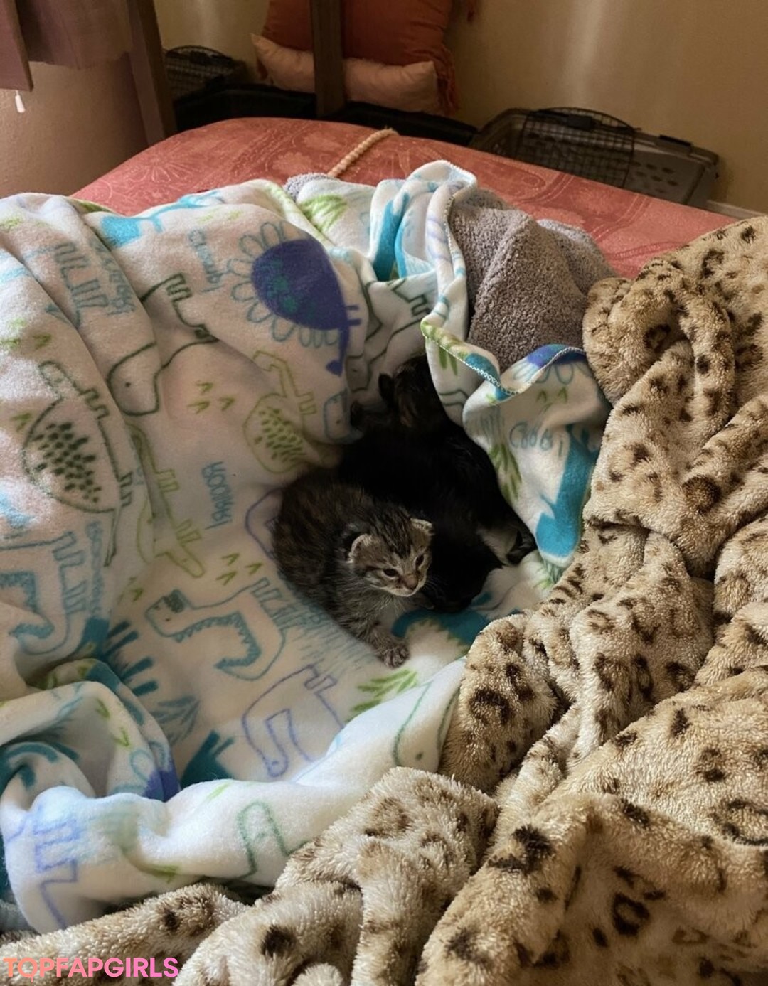 Foto desnuda filtrada de OnlyFans de Mollymaeve #244 Foto desnuda filtrada de OnlyFans de Mollymaeve #244