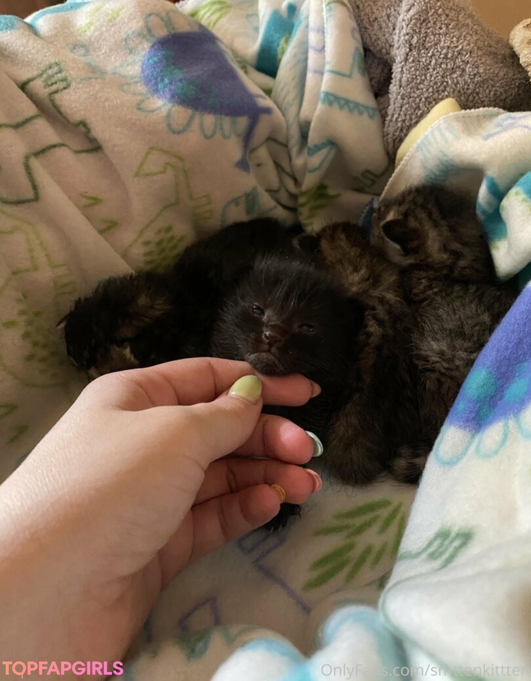 Foto desnuda filtrada de OnlyFans de Mollymaeve #245 Foto desnuda filtrada de OnlyFans de Mollymaeve #245