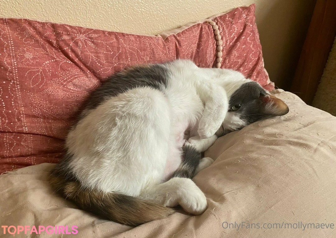 Foto desnuda filtrada de OnlyFans de Mollymaeve #355 Foto desnuda filtrada de OnlyFans de Mollymaeve #355