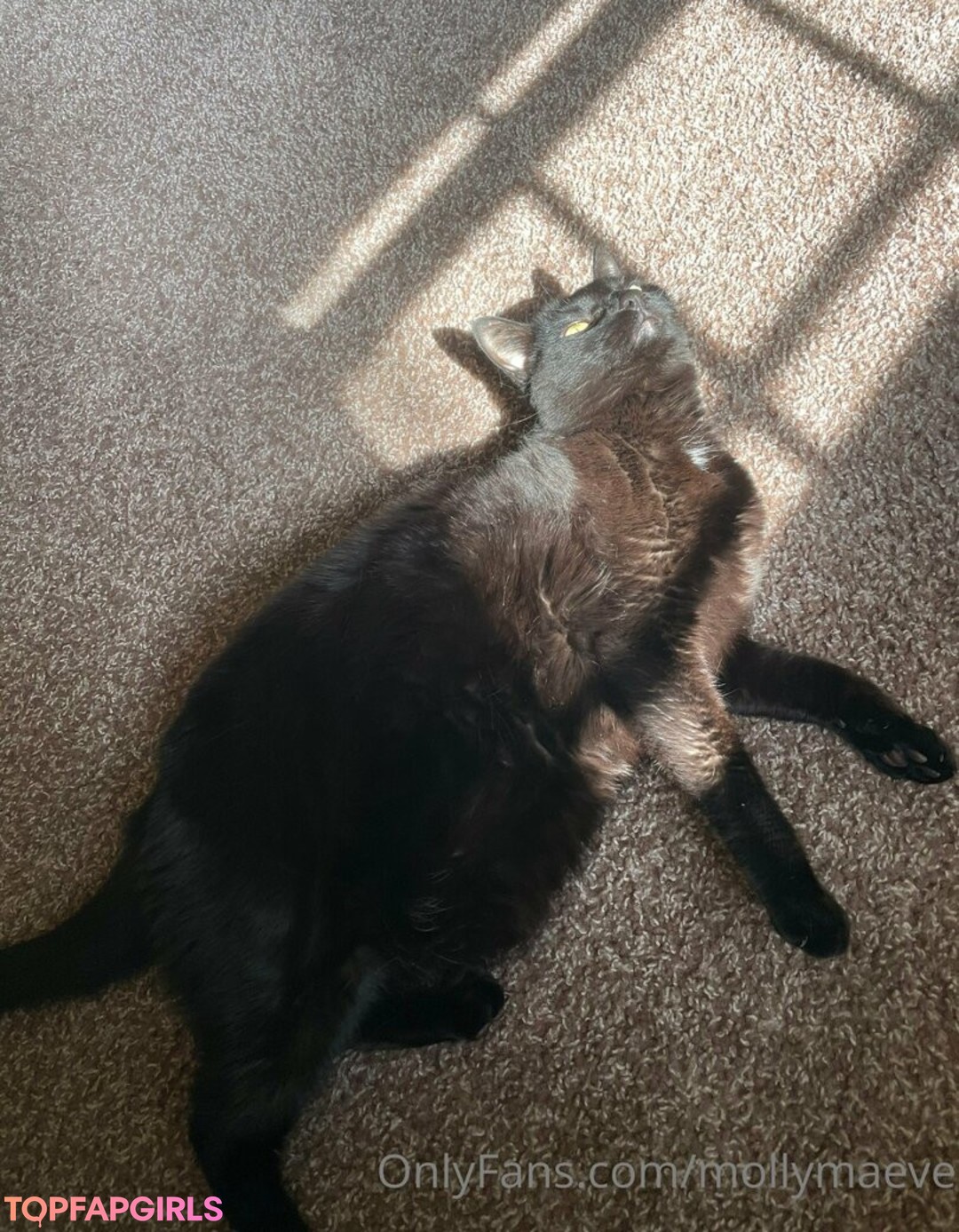 Foto desnuda filtrada de OnlyFans de Mollymaeve #358 Foto desnuda filtrada de OnlyFans de Mollymaeve #358