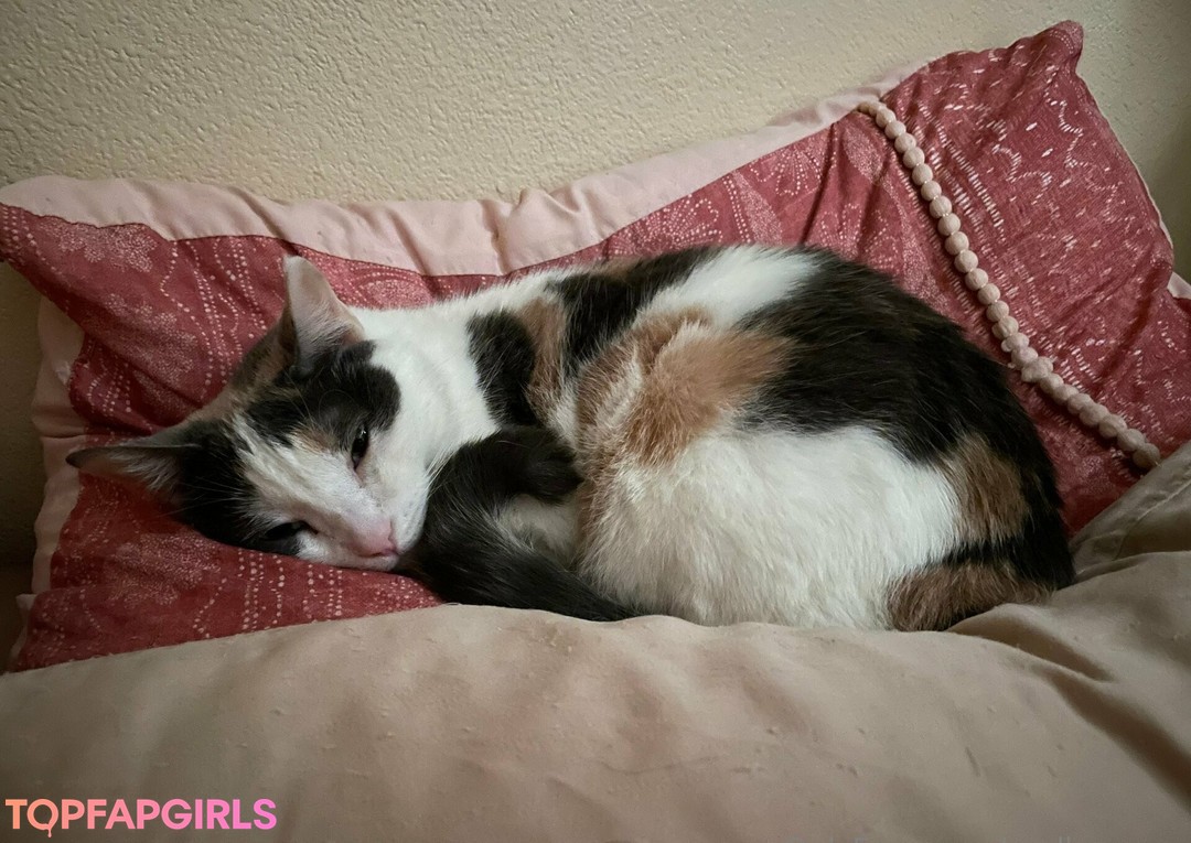 Foto desnuda filtrada de OnlyFans de Mollymaeve #359 Foto desnuda filtrada de OnlyFans de Mollymaeve #359