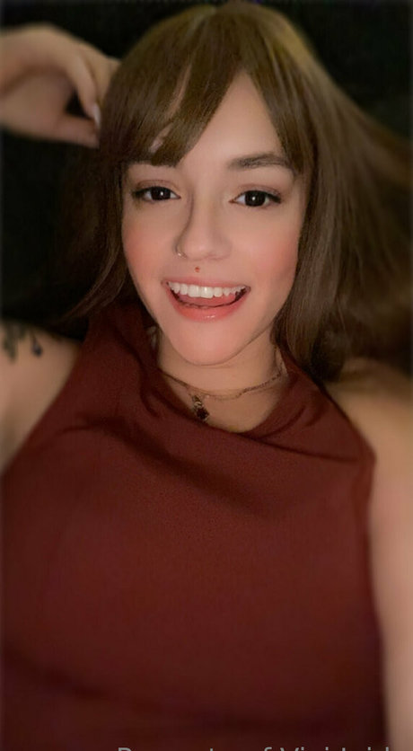 Vivijaide