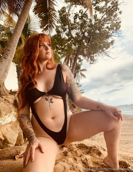 Rosamagnoliaxo