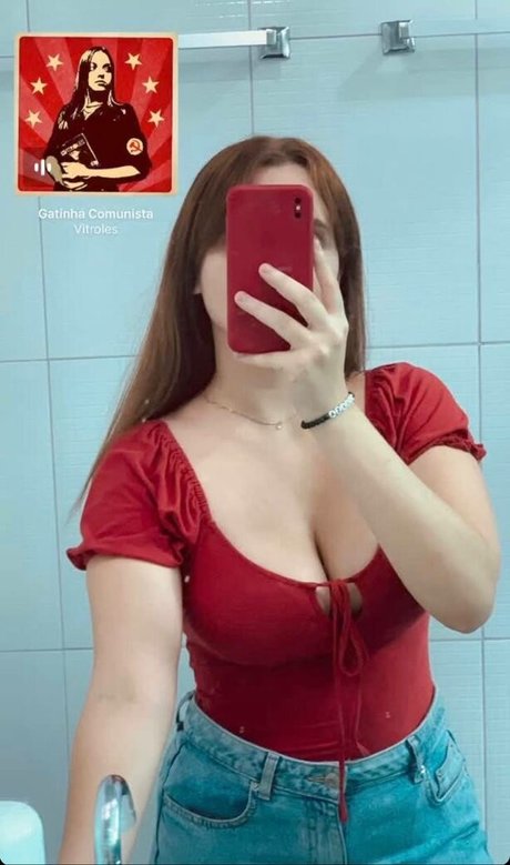 Gatas De Manaus