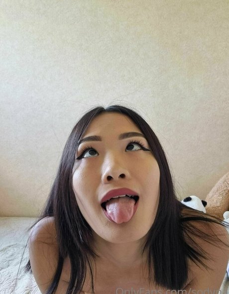 Sodyna