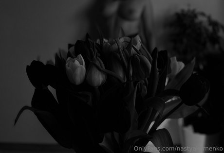 The_cherry_on_the_cake