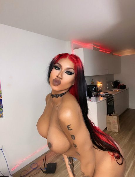 Luckiesuniverse