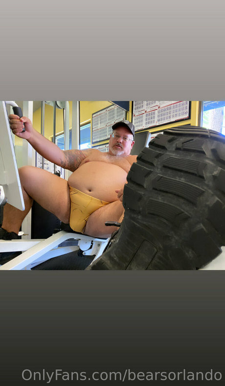 Bearsorlando