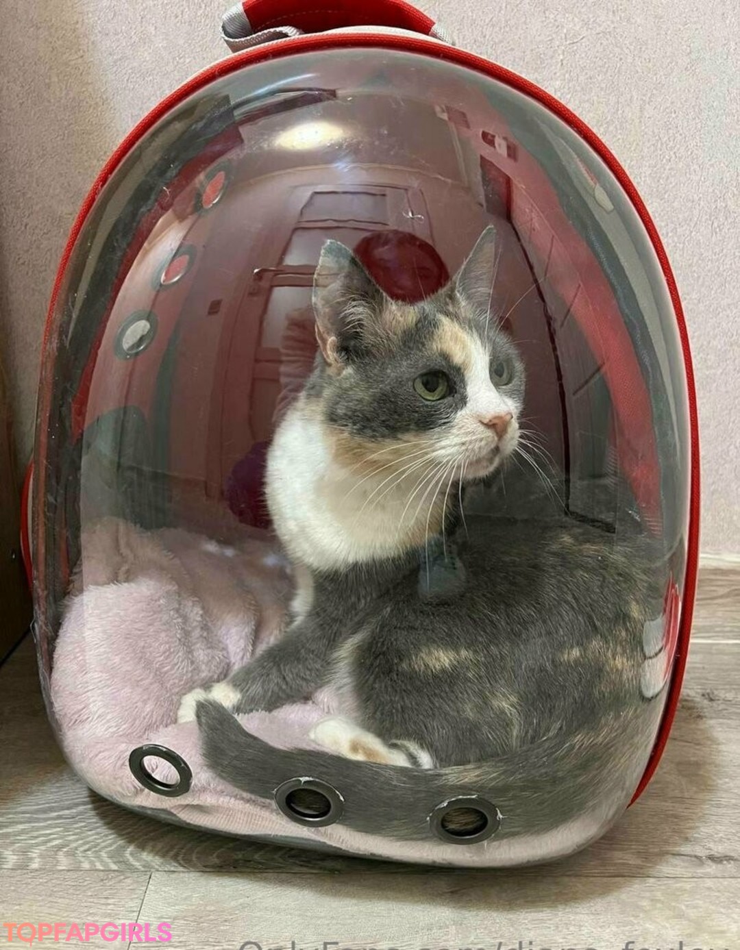 Foto desnuda filtrada de OnlyFans de Dianafoxley #32 Foto desnuda filtrada de OnlyFans de Dianafoxley #32