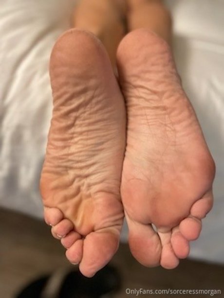 Morgana Soles