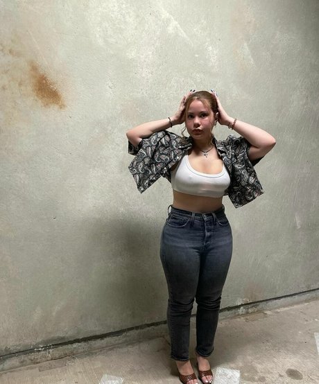 Erikaapalacioss