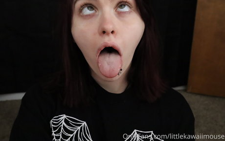 Littlekawaiimouse