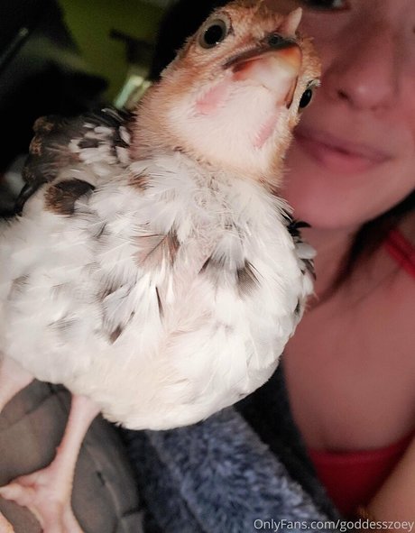 GoddessZoey