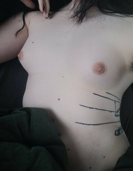 Siouxsiesteele