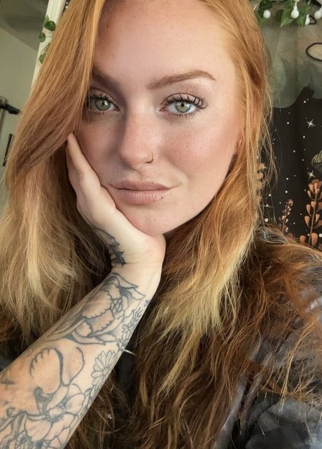 Foxi Lexi