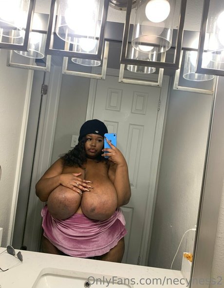 Necyness2