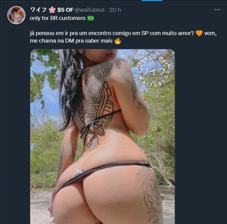 Bloddewedsgh
