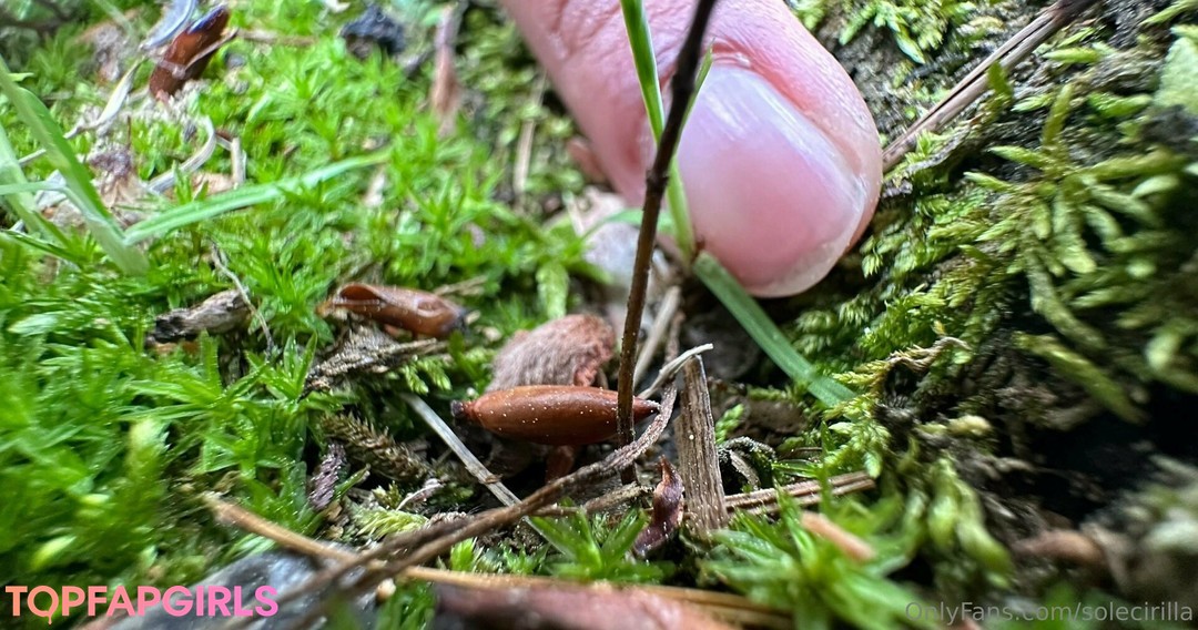 Foto desnuda filtrada de OnlyFans de Solecirilla #195 Foto desnuda filtrada de OnlyFans de Solecirilla #195