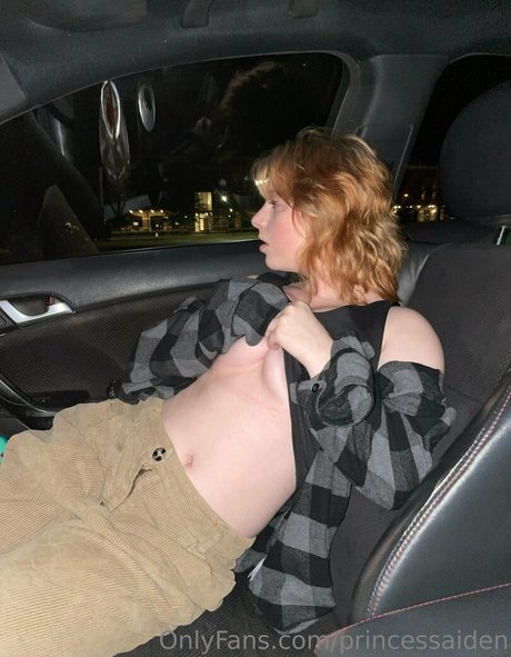 Princessaiden