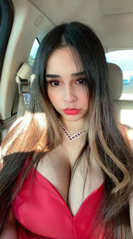 Brimercado14
