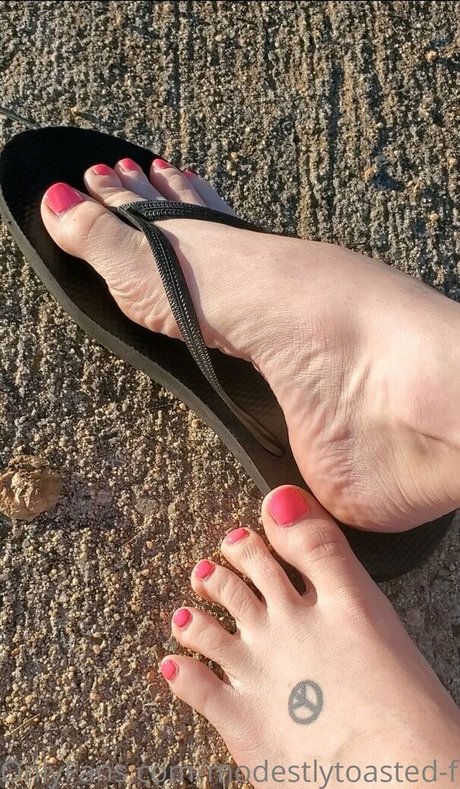 Modestlytoasted-free