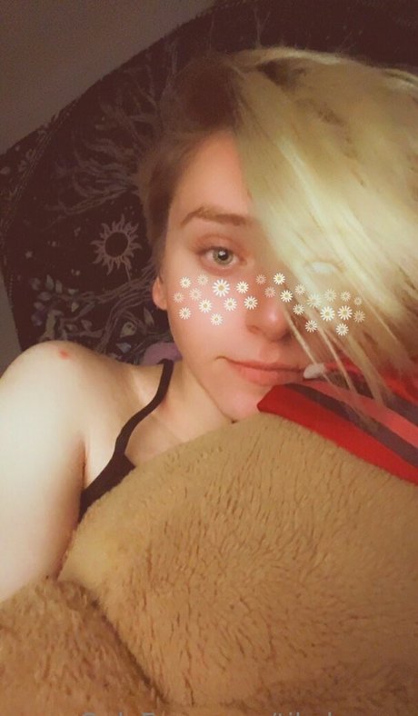 Tikalovexo