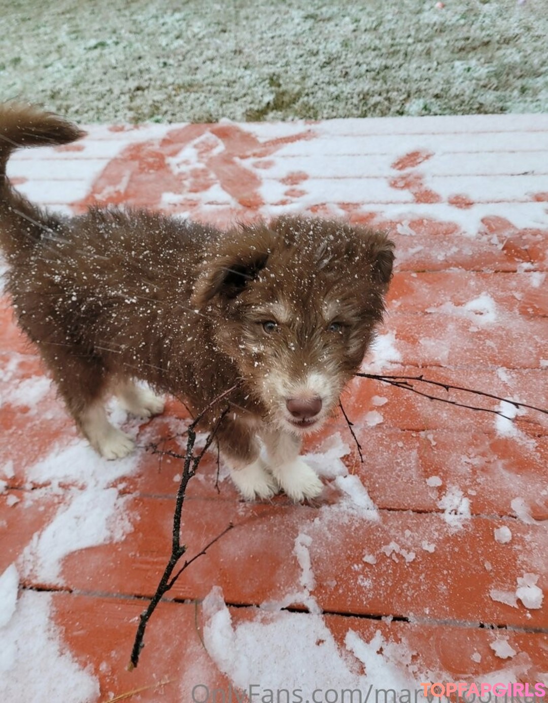 Foto desnuda filtrada de OnlyFans de Marymoonkat #46 Foto desnuda filtrada de OnlyFans de Marymoonkat #46