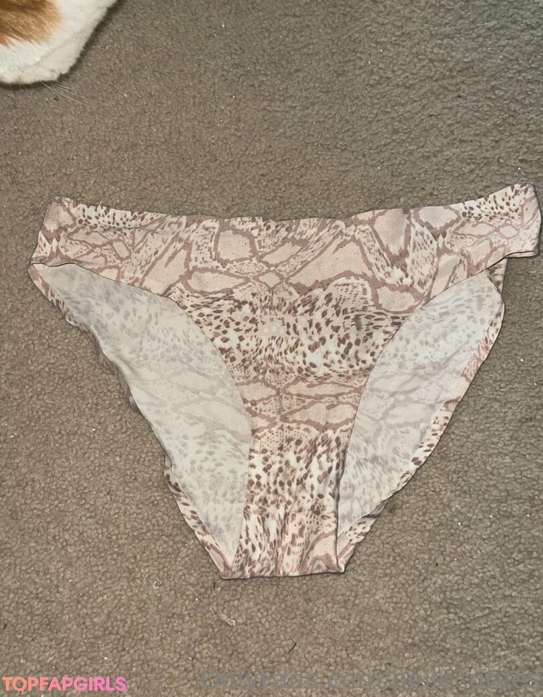 Foto desnuda filtrada de OnlyFans de Bellecurves #225 Foto desnuda filtrada de OnlyFans de Bellecurves #225