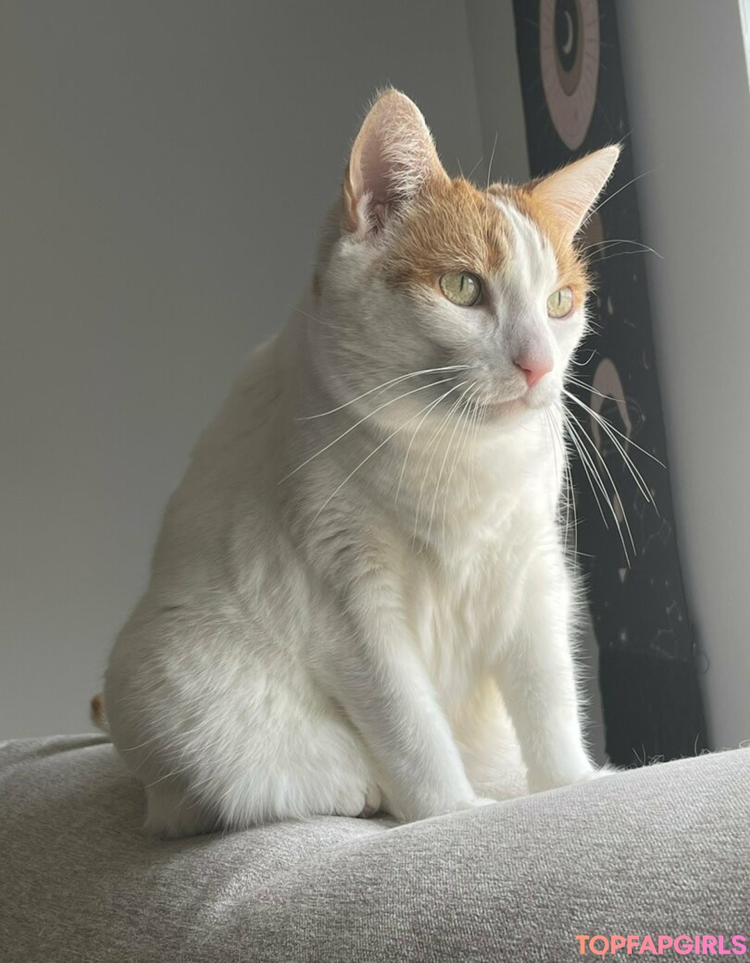 Foto desnuda filtrada de OnlyFans de Bellecurves #82 Foto desnuda filtrada de OnlyFans de Bellecurves #82