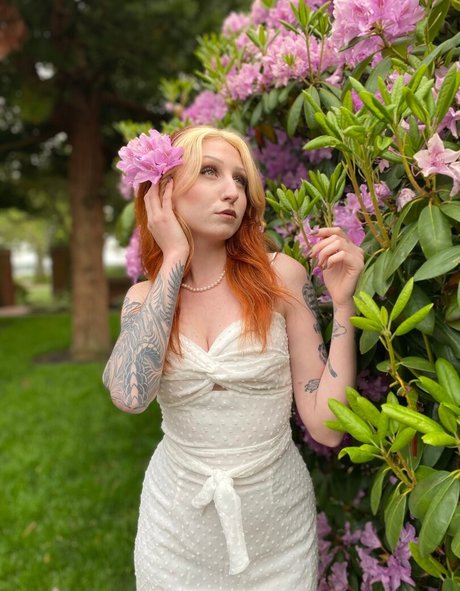 Morgan Adams