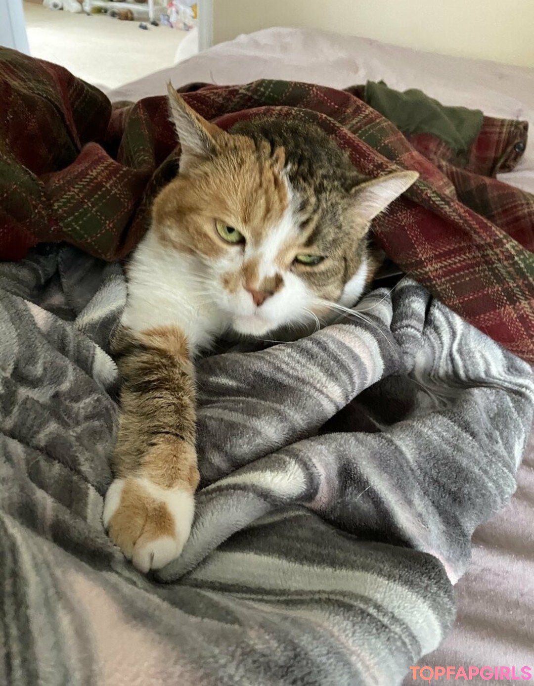 Foto desnuda filtrada de OnlyFans de Bellecreed #195 Foto desnuda filtrada de OnlyFans de Bellecreed #195