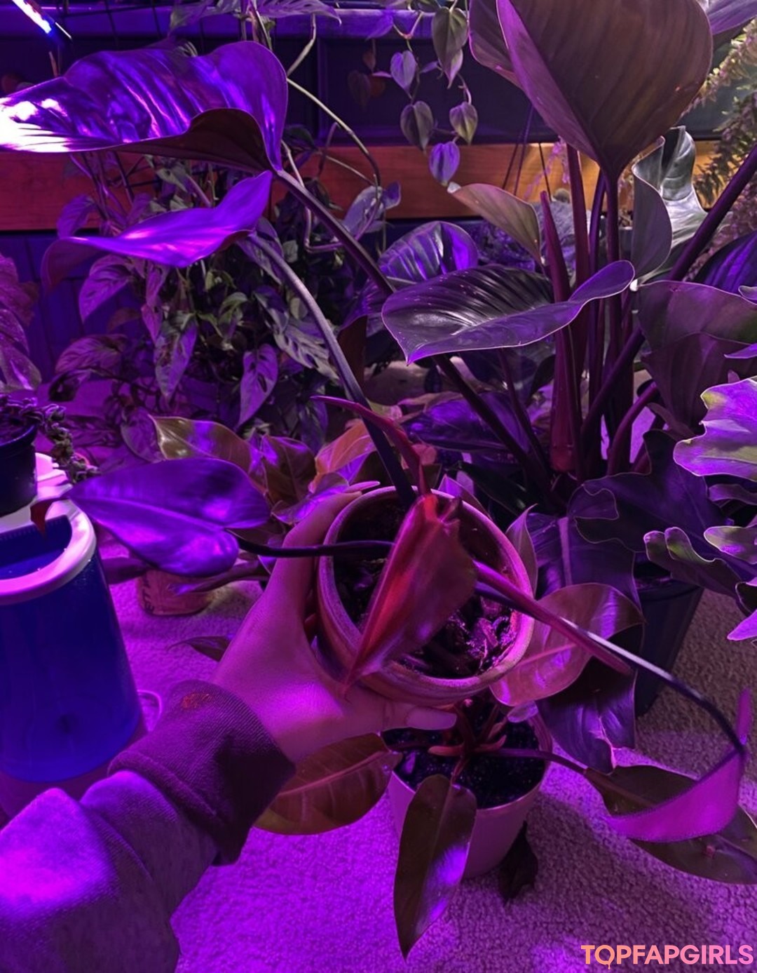 Foto desnuda filtrada de OnlyFans de Bellecreed #199 Foto desnuda filtrada de OnlyFans de Bellecreed #199