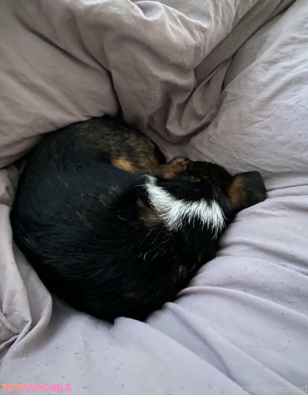 Foto desnuda filtrada de OnlyFans de Bellecreed #249 Foto desnuda filtrada de OnlyFans de Bellecreed #249