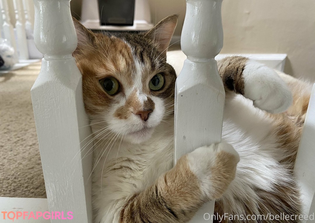 Foto desnuda filtrada de OnlyFans de Bellecreed #463 Foto desnuda filtrada de OnlyFans de Bellecreed #463