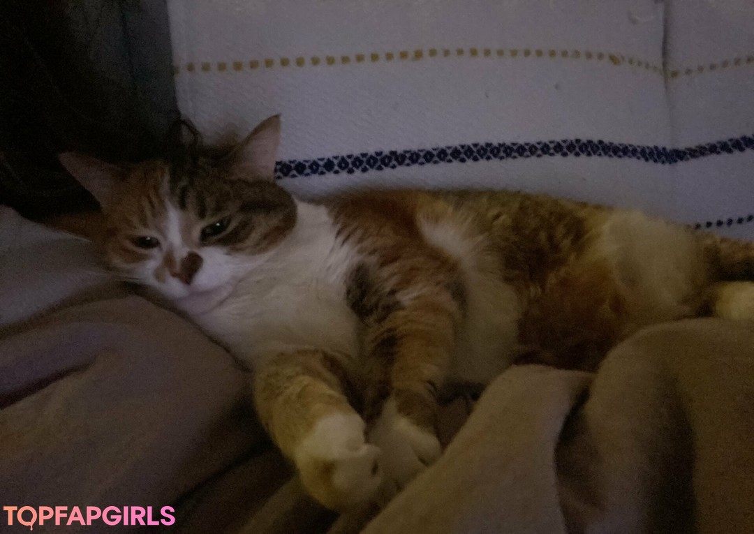 Foto desnuda filtrada de OnlyFans de Bellecreed #531 Foto desnuda filtrada de OnlyFans de Bellecreed #531