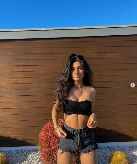 Donya Shabani