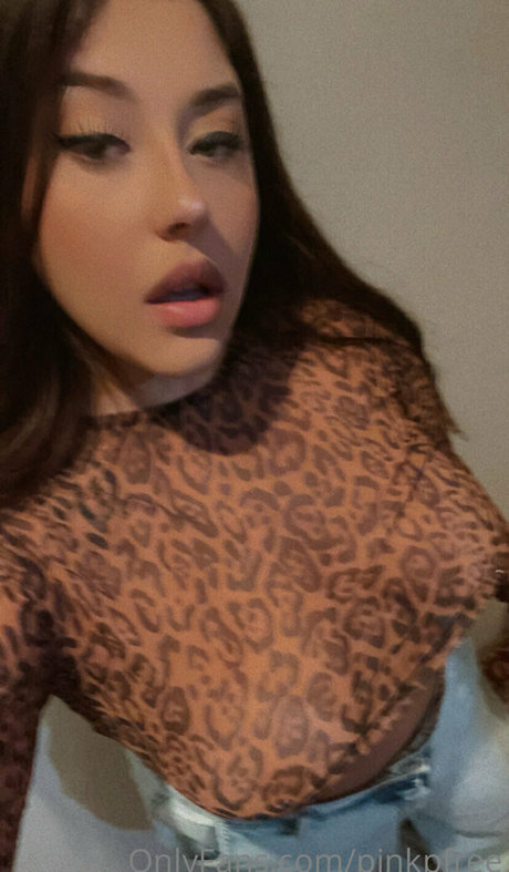 Ruivinhafree