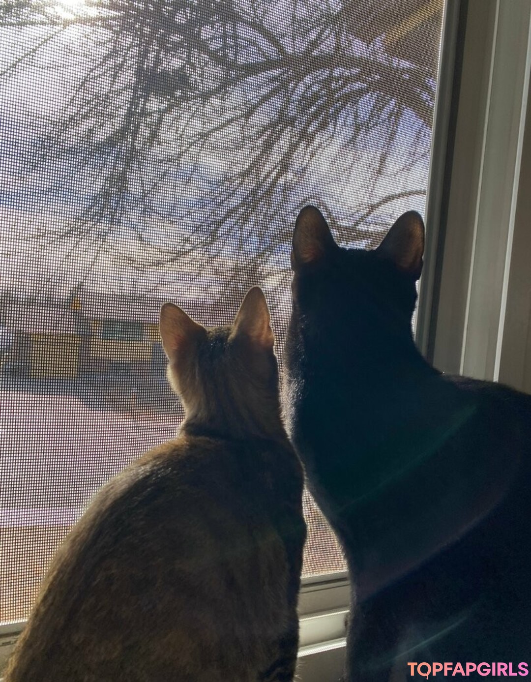 Foto desnuda filtrada de OnlyFans de Nikkiinatural #77 Foto desnuda filtrada de OnlyFans de Nikkiinatural #77